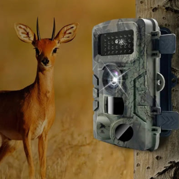 Фотопастка для дому, дачі та полювання